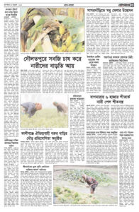 Daily Choukas e-paper