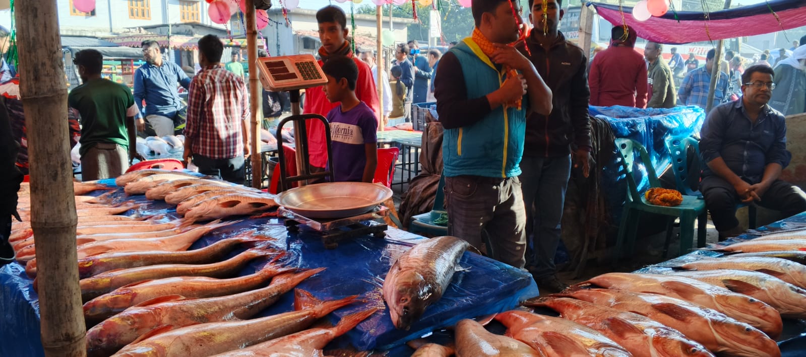 নবান্ন উৎসব উপলক্ষে কালাইয়ের পাঁচ শিরা বাজারে জমে উঠেছে ঐতিহ্যবাহী মাছের মেলা